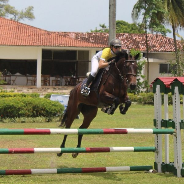 LITTLE TROUBLE TRAPICHE